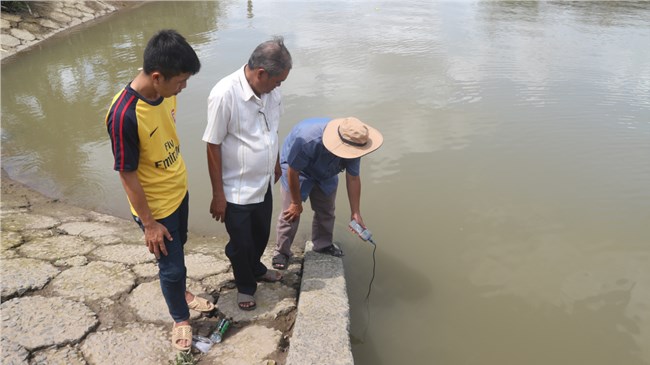 Sóc Trăng: Hạn, mặn xâm nhập gây ảnh hưởng đến sản xuất lúa của người dân (08/03/2024)
